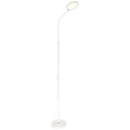Zuma Line - LED reguliuojama stovinti lempa LED/10W/230V 3000/4500/6500K balta