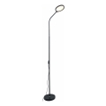 Zuma Line - LED reguliuojama stovinti lempa LED/10W/230V 3000/4500/6500K juoda