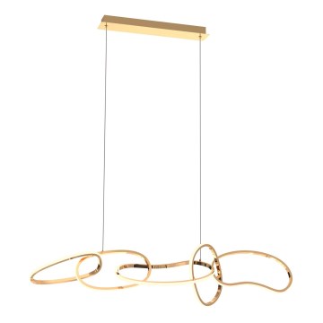Zuma Line - LED reguliuojamas šviestuvas ant laido LED/56W/230V auksinis