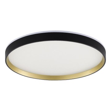 Zuma Line - LED RGBW Pritemdomas sieninis vonios šviestuvas LED/32W/230V + LED/8W 3000-6000K IP44 juoda/auksas + nuotolinio valdymo pultas
