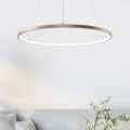 Zuma Line - LED šviestuvas ant laido LED/36W/230V 3000/4000/6000K skersmuo 80 cm auksinis