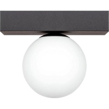 Zuma Line - Lubinis šviestuvas 1xG9/8W/230V juoda