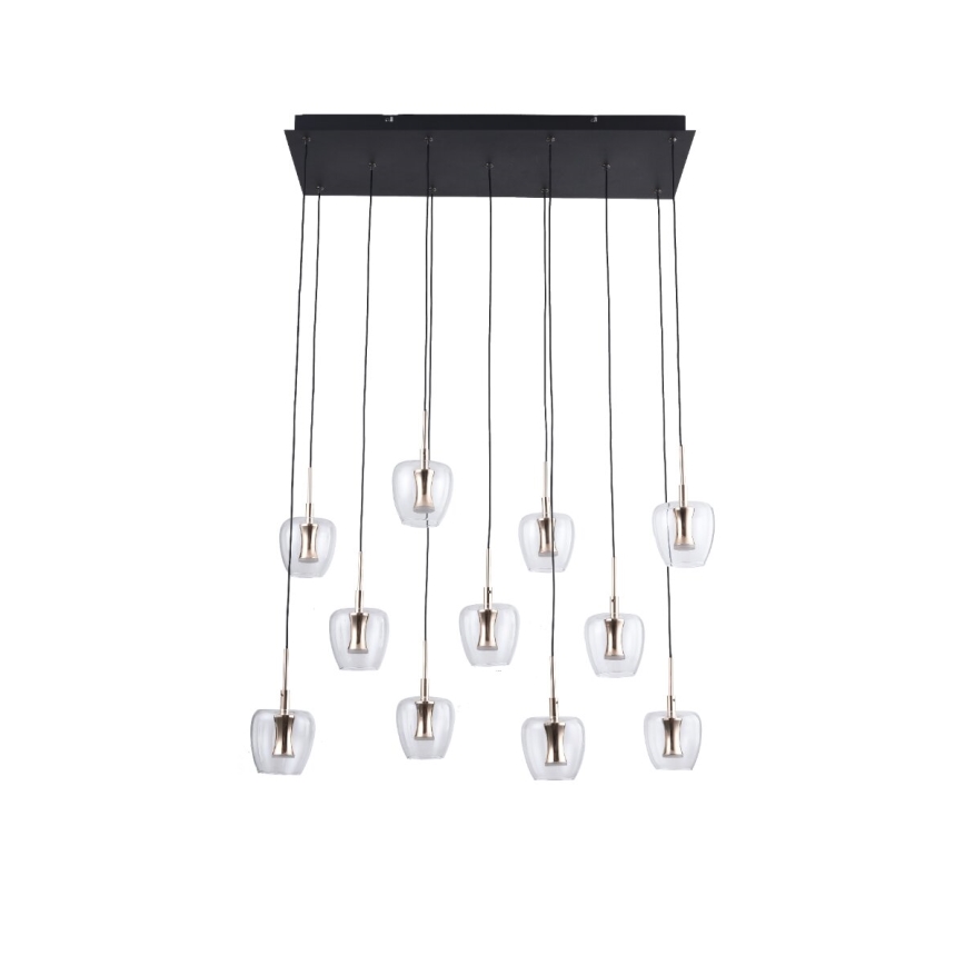 Zuma Line - LED pakabinamas šviestuvas ant laido 11xLED/3W/230V juodas