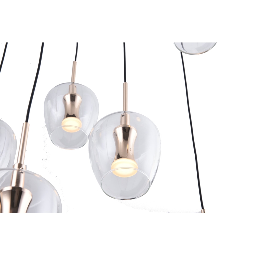 Zuma Line - LED pakabinamas šviestuvas ant laido 11xLED/3W/230V juodas
