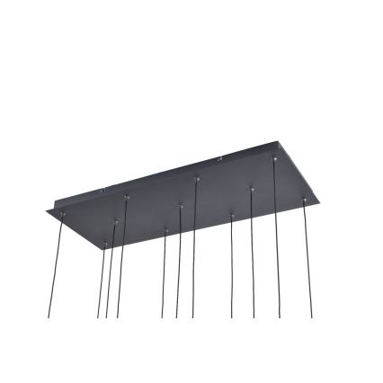 Zuma Line - LED pakabinamas šviestuvas ant laido 11xLED/3W/230V juodas