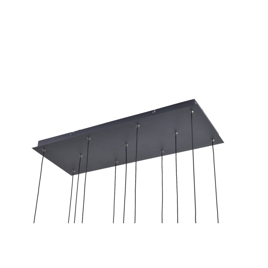 Zuma Line - LED pakabinamas šviestuvas ant laido 11xLED/3W/230V juodas