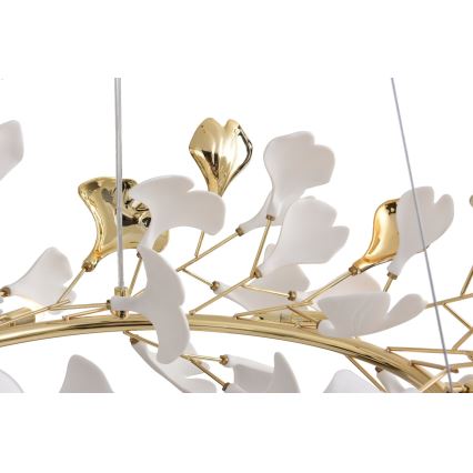 Zuma Line - Pakabinama liustra ant laido 6xG9/42W/230V skersmuo 74 cm auksinė