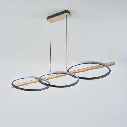 Zuma Line - LED reguliuojamas šviestuvas ant laido LED/35W/230V