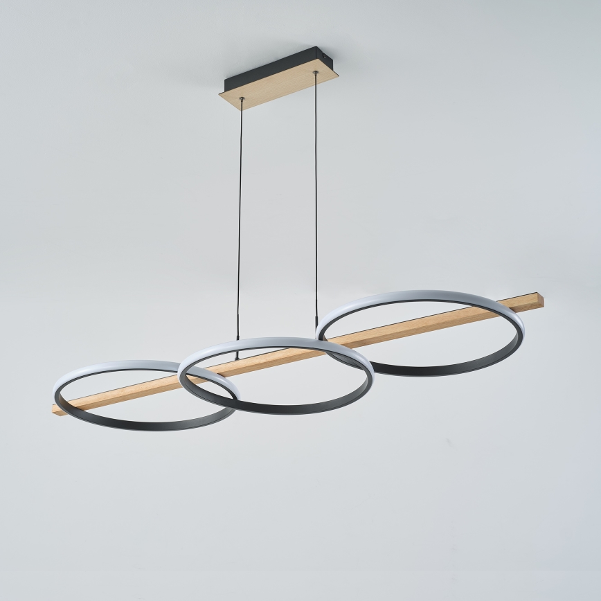 Zuma Line - LED reguliuojamas šviestuvas ant laido LED/35W/230V
