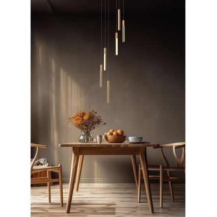 Zuma Line - LED reguliuojamas šviestuvas ant laido LED/25W/230V
