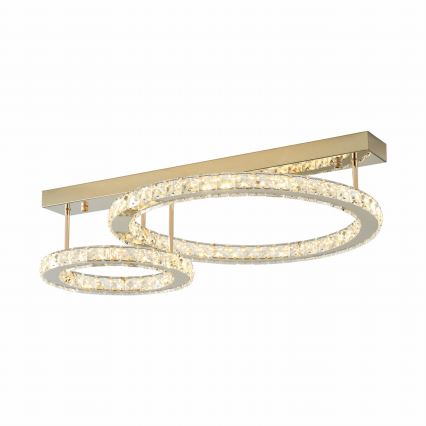 Zuma Line - LED pritemdomas lubų šviestuvas LED/36W/230V auksinis