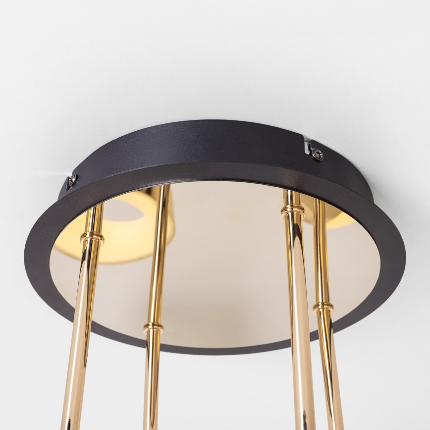 Zuma Line - LED dimeriuojama prigludusi liustra LED/60W/230V auksinė/juoda