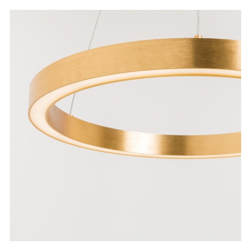 Zuma Line - LED Pakabinamas sietynas 1xLED/30W/230V 40 cm aukso spalva