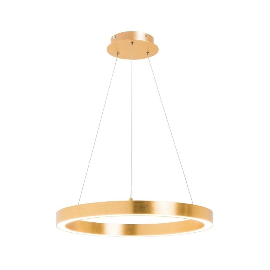 Zuma Line - LED Pakabinamas sietynas LED/40W/230V d. 50 cm aukso spalvos