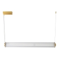 Zuma Line - reguliuojamas LED pakabinamas šviestuvas ant laido LED/39W/230V 2700-6500K auksinis + su nuotoliniu valdymu