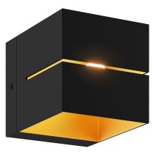 Zuma Line - Sieninis šviestuvas 1xG9/40W/230V juodas/auksinis