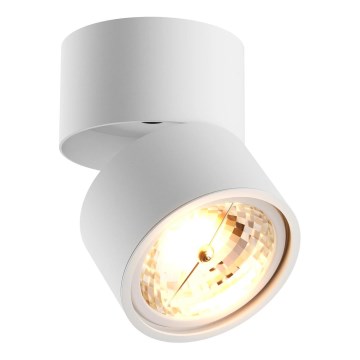Zuma Line - Taškinis šviestuvas 1xGU10-ES111/15W/230V baltas