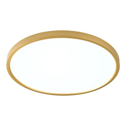 Zuma Line - LED lubų šviestuvas CAMI LED/36W/230V 3000/4000/6000K skersmuo 40 cm auksinis
