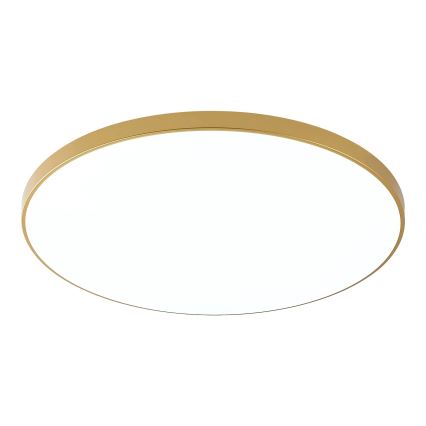 Zuma Line - LED lubinis šviestuvas VERI LED/44W/230V Ø 47 cm, auksinis