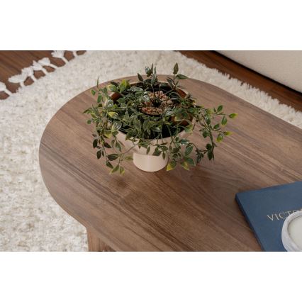 Žurnalinis staliukas NEL riešutas